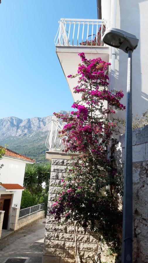 Apartmani Lara Gradac  Extérieur photo