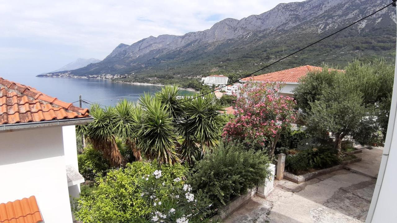 Apartmani Lara Gradac  Extérieur photo